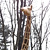 Gigi the Giraffe