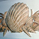 Seashell Mural